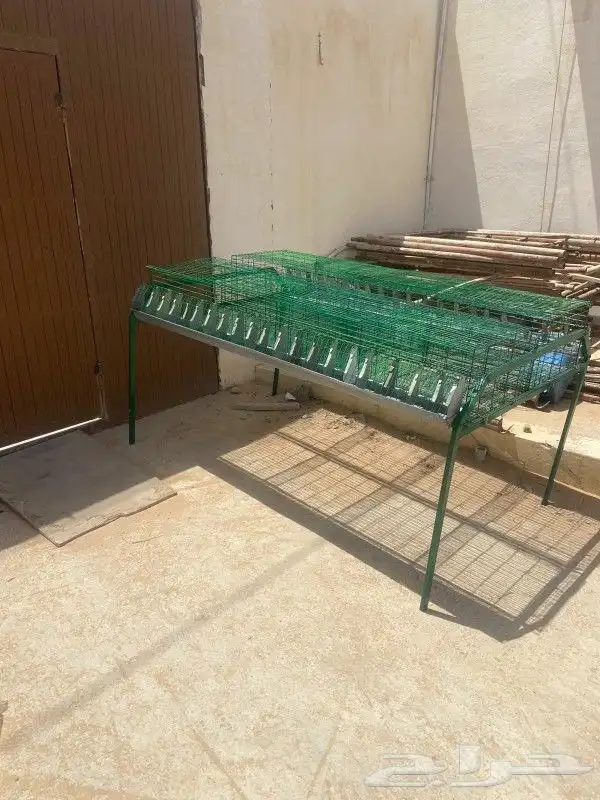 بطاريات أرانب 7