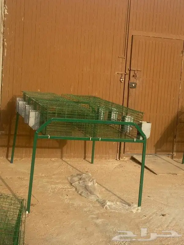 بطاريات أرانب 5