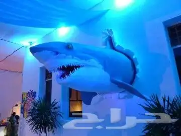 رسام جداريات متخصص ونحات مجسمات 11