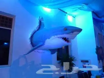 رسام جداريات متخصص ونحات مجسمات 12