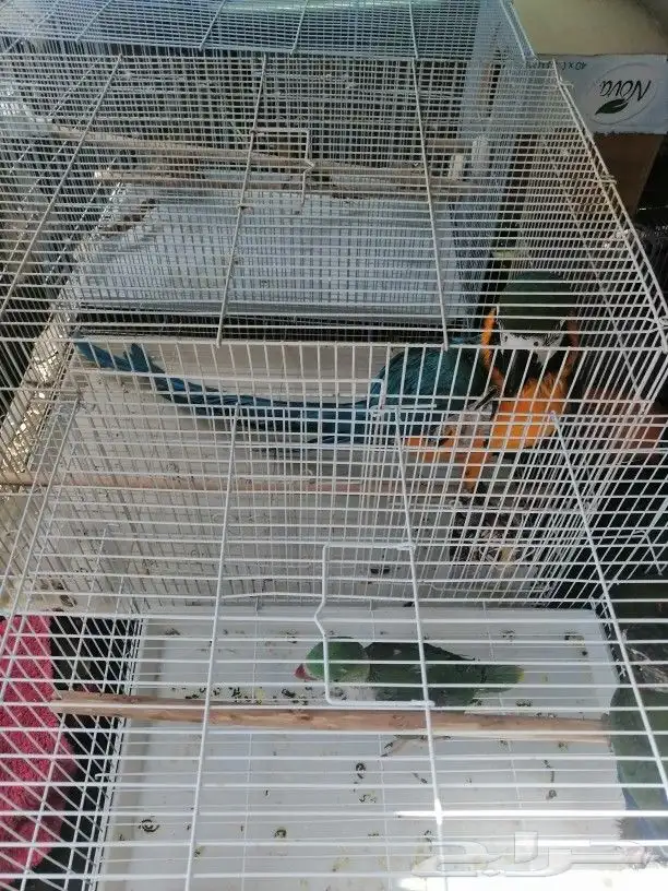 موصل طيور حيونات اليفه امنان 5