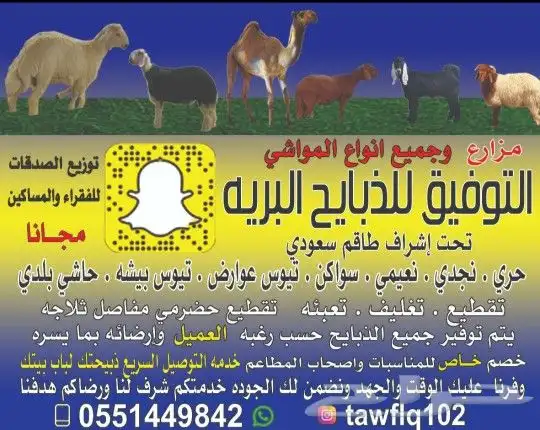 لباب بيتك خرفان حريات وسواكني 0