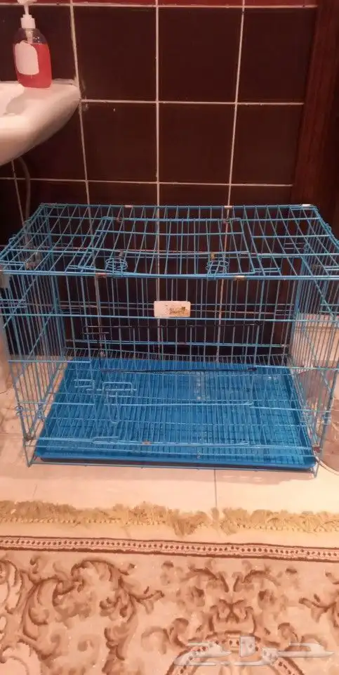 الشوقيه شارع البيك 1