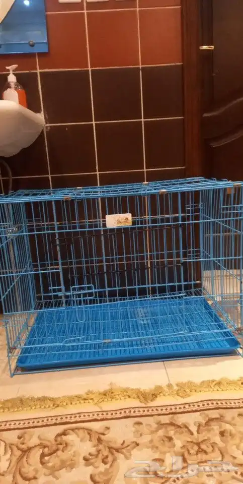 الشوقيه شارع البيك 0