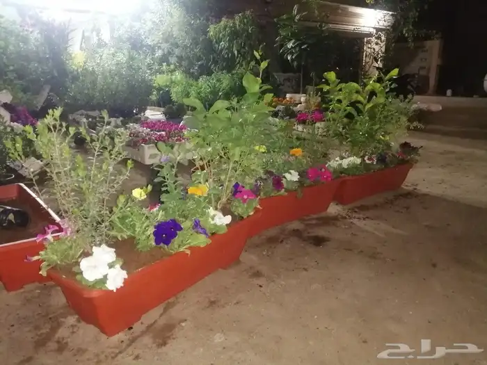 https   www.instagram.com p CWNfQyzqB1f  igsh 5