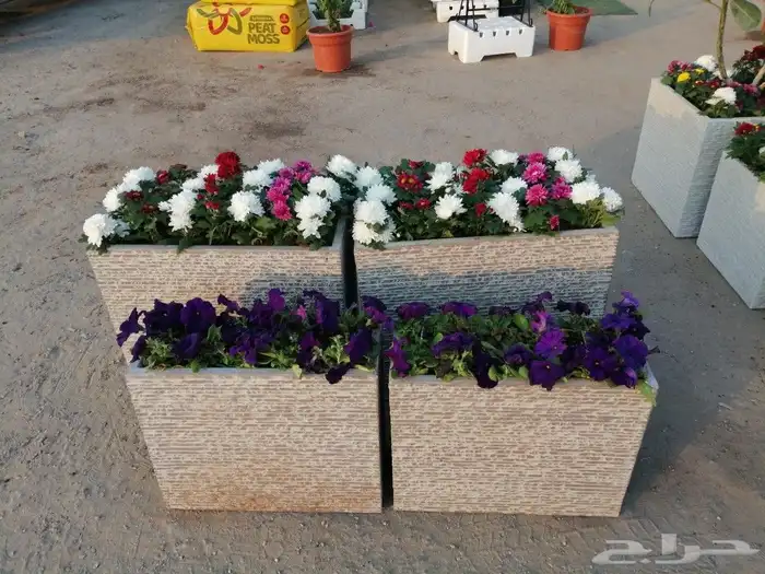 https   www.instagram.com p CWNfQyzqB1f  igsh 14