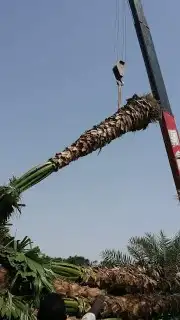 https   www.instagram.com p CWNfQyzqB1f  igsh 43