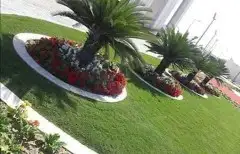 https   www.instagram.com p CWNfQyzqB1f  igsh 32