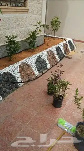 https   www.instagram.com p CWNfQyzqB1f  igsh 54