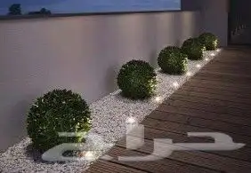 https   www.instagram.com p CWNfQyzqB1f  igsh 19