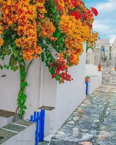 https   www.instagram.com p CWNfQyzqB1f  igsh 48