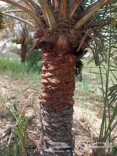 https   www.instagram.com p CWNfQyzqB1f  igsh 2