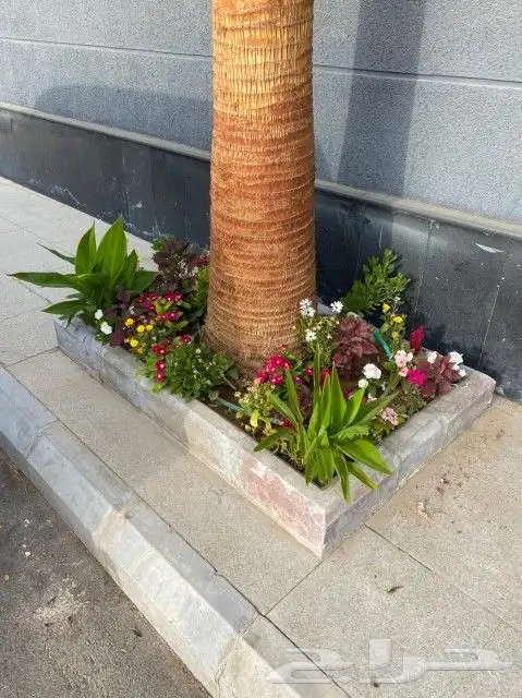 https   www.instagram.com p CWNfQyzqB1f  igsh 3