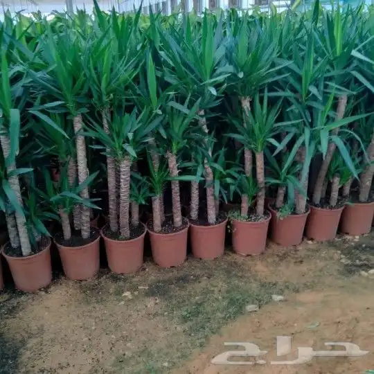 https   www.instagram.com p CWNfQyzqB1f  igsh 71