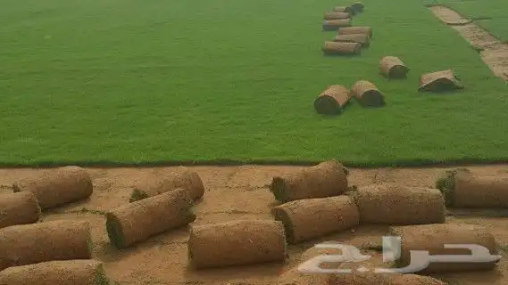 https   www.instagram.com p CWNfQyzqB1f  igsh 47