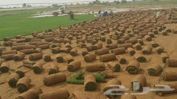 https   www.instagram.com p CWNfQyzqB1f  igsh 40