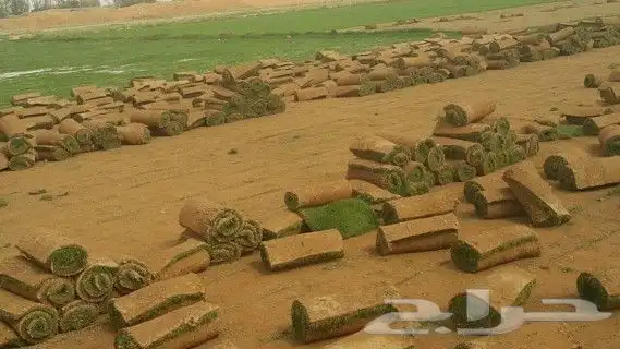 https   www.instagram.com p CWNfQyzqB1f  igsh 41