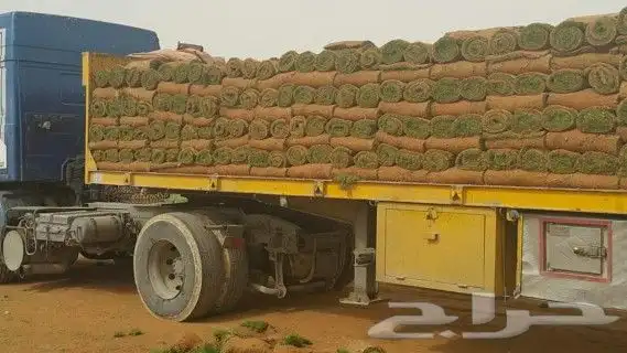 https   www.instagram.com p CWNfQyzqB1f  igsh 45