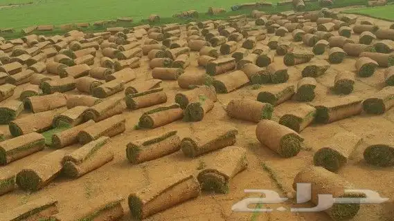 https   www.instagram.com p CWNfQyzqB1f  igsh 46