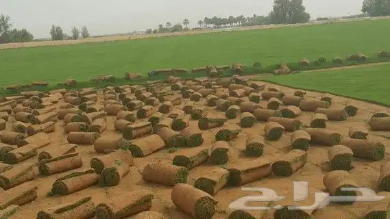 https   www.instagram.com p CWNfQyzqB1f  igsh 44