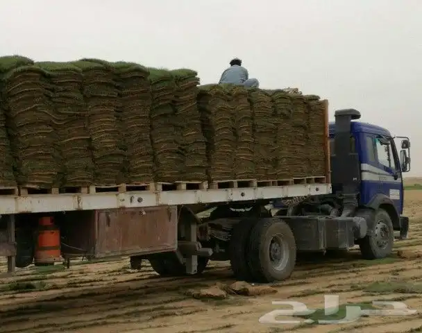 https   www.instagram.com p CWNfQyzqB1f  igsh 42