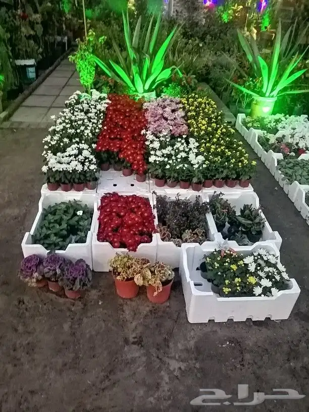 https   www.instagram.com p CWNfQyzqB1f  igsh 91