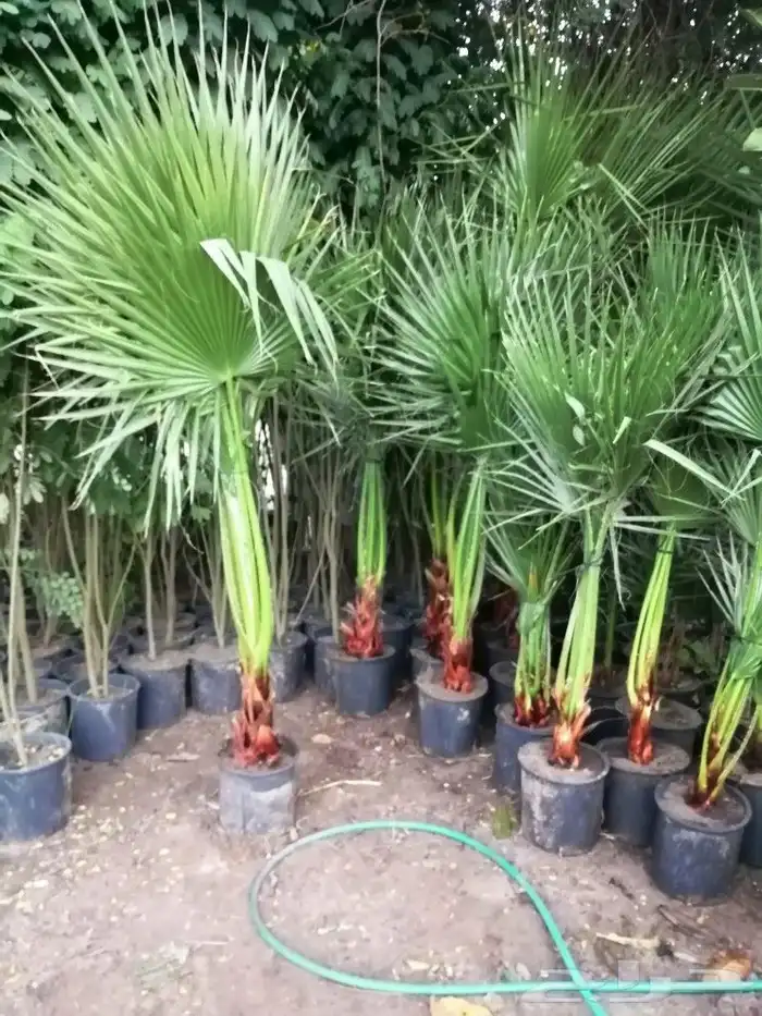 https   www.instagram.com p CWNfQyzqB1f  igsh 94