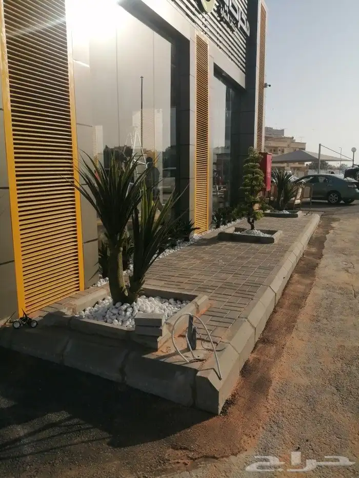 https   www.instagram.com p CWNfQyzqB1f  igsh 81