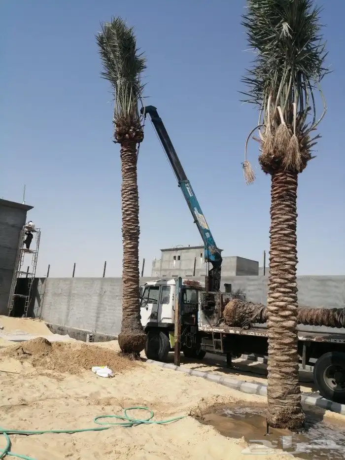 https   www.instagram.com p CWNfQyzqB1f  igsh 35