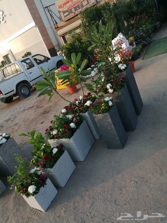 https   www.instagram.com p CWNfQyzqB1f  igsh 15