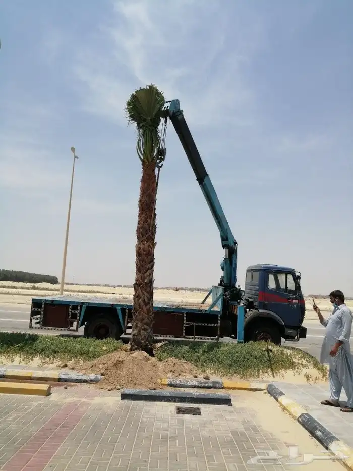 https   www.instagram.com p CWNfQyzqB1f  igsh 18