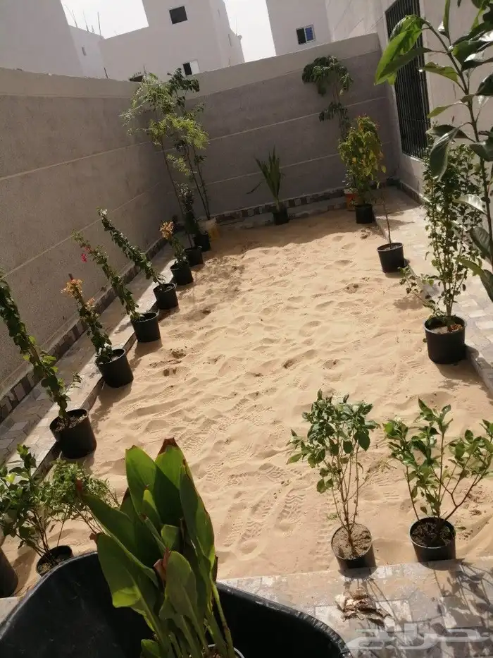 https   www.instagram.com p CWNfQyzqB1f  igsh 10