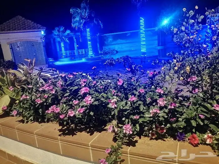 https   www.instagram.com p CWNfQyzqB1f  igsh 85