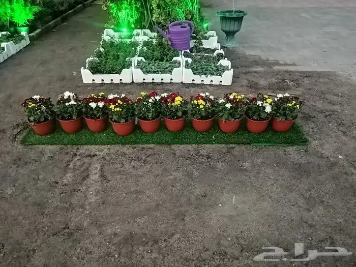 https   www.instagram.com p CWNfQyzqB1f  igsh 90