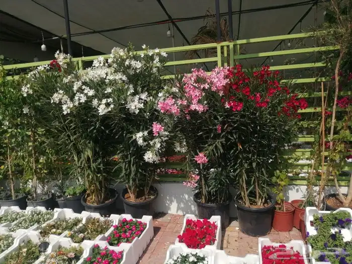 https   www.instagram.com p CWNfQyzqB1f  igsh 86