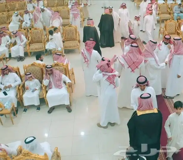 Professional Video and photoghrapy al Qassim 3