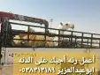 دنا ونش هيدروليك لنقل الأبل 1