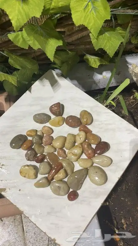 حجر زينه للحدائق 2