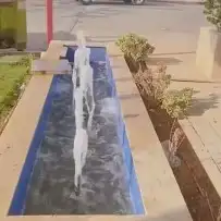 مشتل زراعة لجميع انواع الأشجار والشللات 3