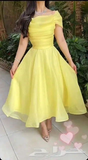 فساتين مشاهير العرب حرق وتحطيم لسعار بيع جملة 26