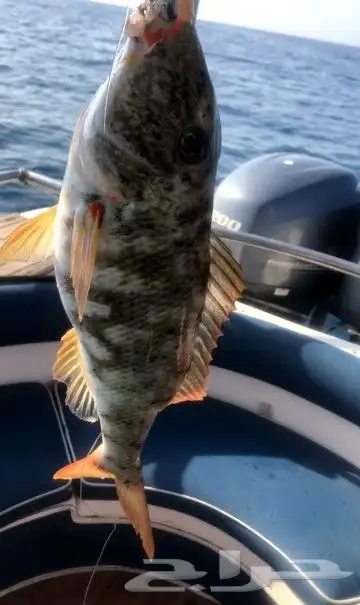 تعليم سواقة البوت والقارب واليخوت والجو بوت 6