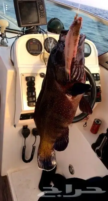 تعليم سواقة البوت والقارب واليخوت والجو بوت 7