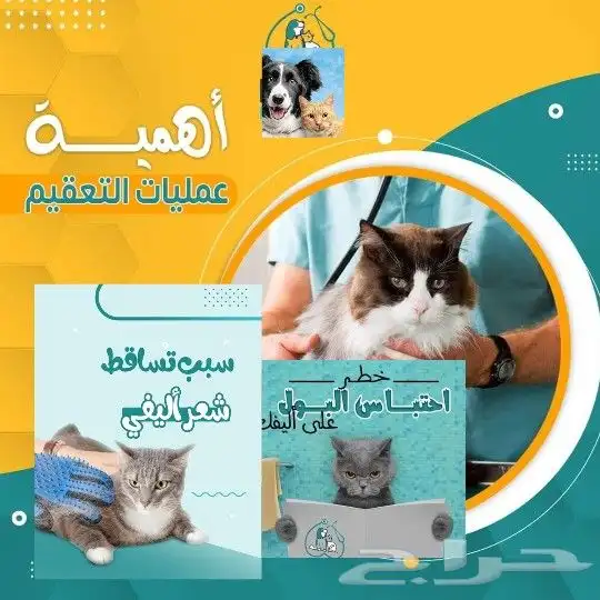 عياده بيطريه متنقله لرعايه أليفك 2
