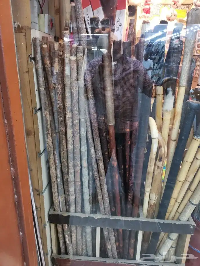 عصى مزمار متنوع 0