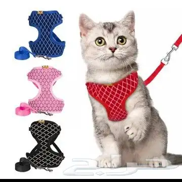 كل مايحتاجه حيوانك الاليف لدى هوايه 5