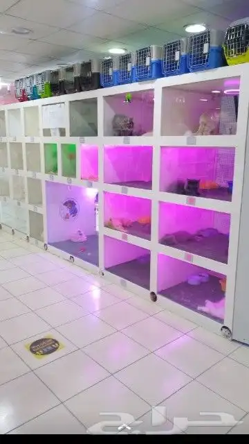 كل مايحتاجه حيوانك الاليف لدى هوايه 16