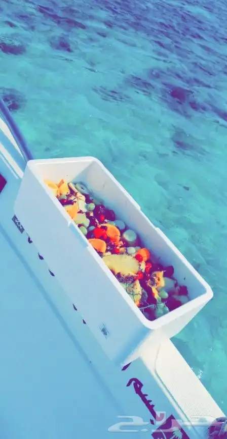 رحلات بحريه بياضه 7