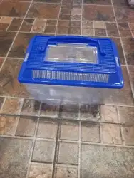 مستلزمات واكل طيور كروان روز كاسكو دره 37