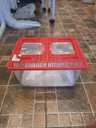 مستلزمات واكل طيور كروان روز كاسكو دره 38