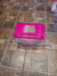 مستلزمات واكل طيور كروان روز كاسكو دره 36